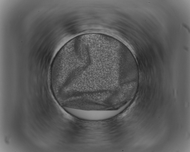 X0000091171533200709060923