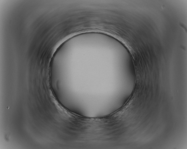 X0000091171534200709060923