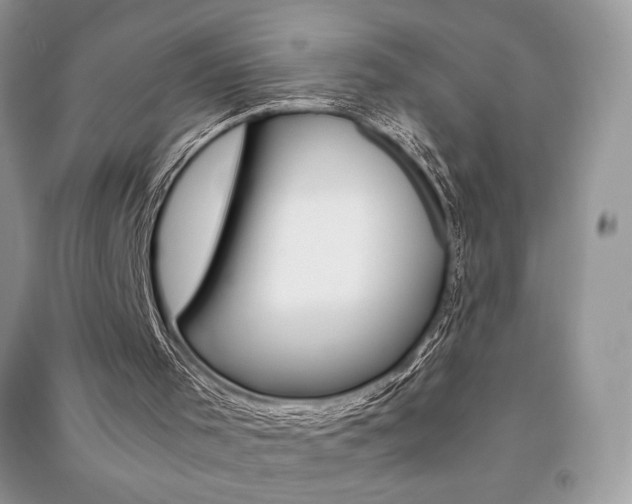 X0000091180001200708091056