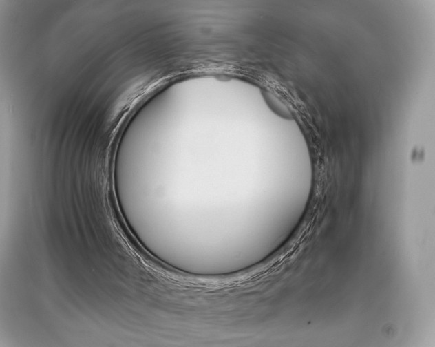 X0000091180002200708091056