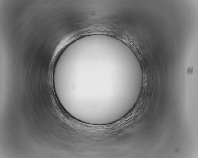 X0000091180004200708091056