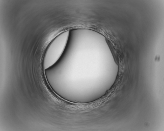 X0000091180005200708091056