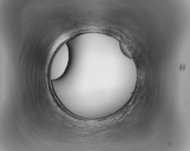 X0000091180006200708091056