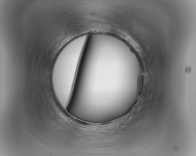 X0000091180009200708091056