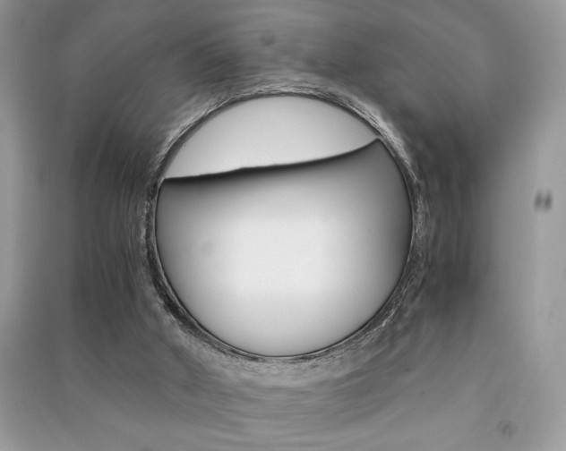 X0000091180010200708091056