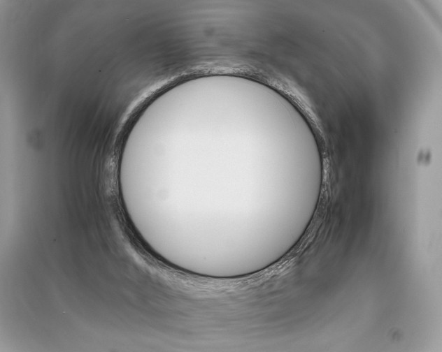 X0000091180012200708091056