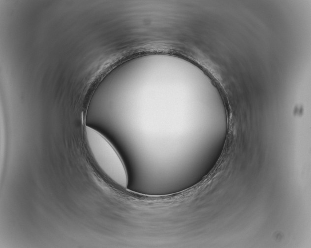 X0000091180013200708091056