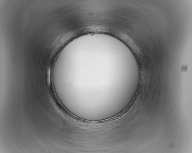 X0000091180014200708091056
