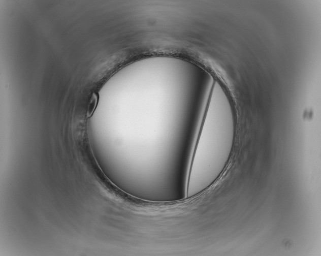 X0000091180017200708091056