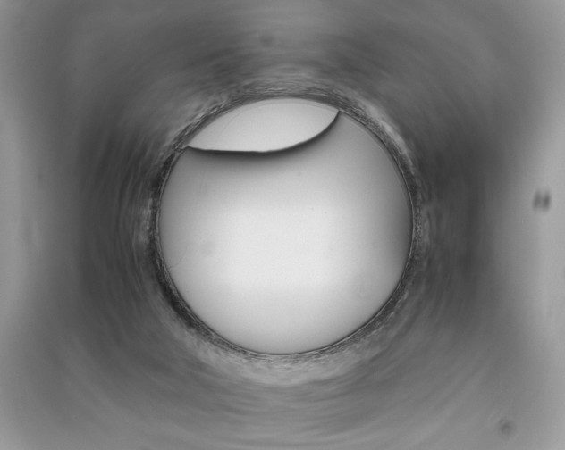 X0000091180018200708091056