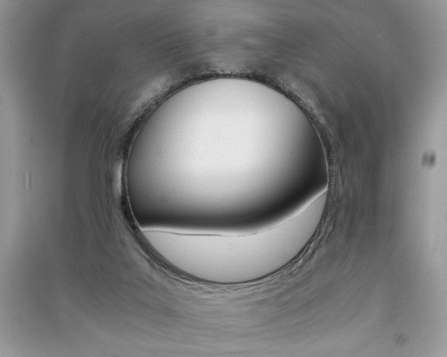X0000091180019200708091056
