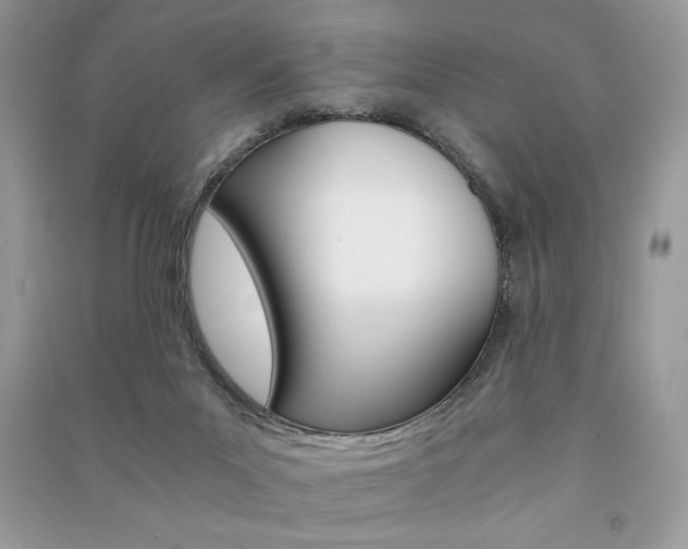 X0000091180023200708091056