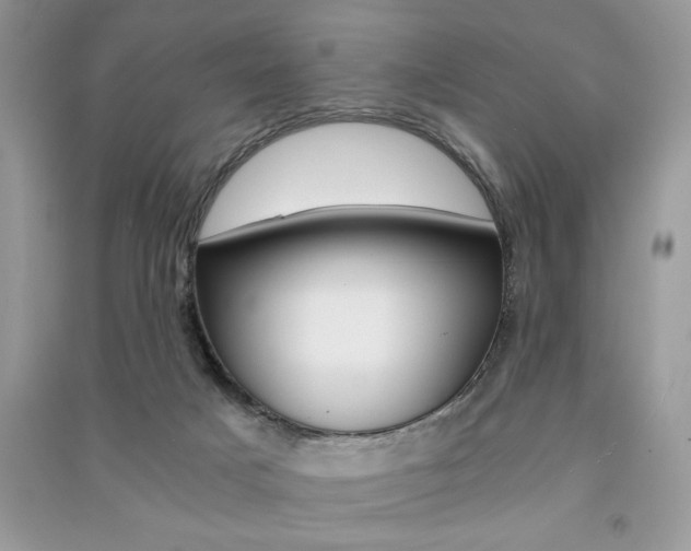 X0000091180025200708091056