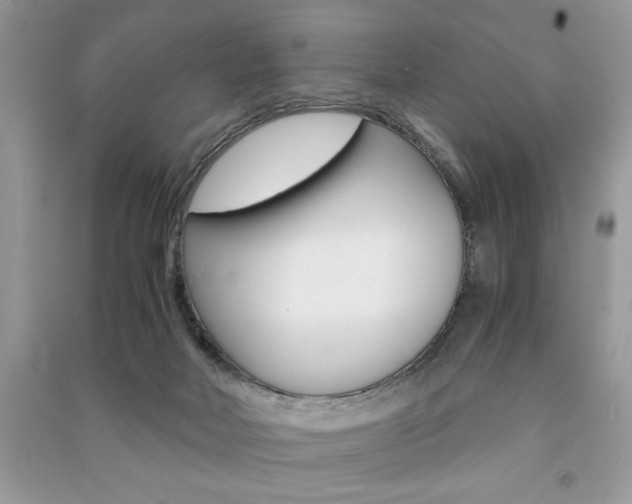 X0000091180026200708091056