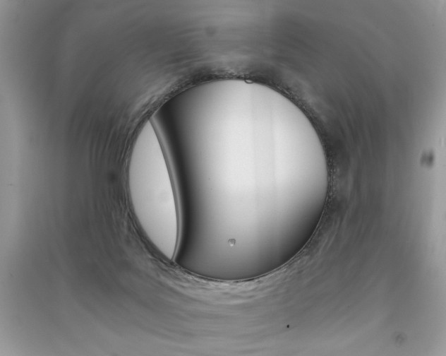 X0000091180027200708091056
