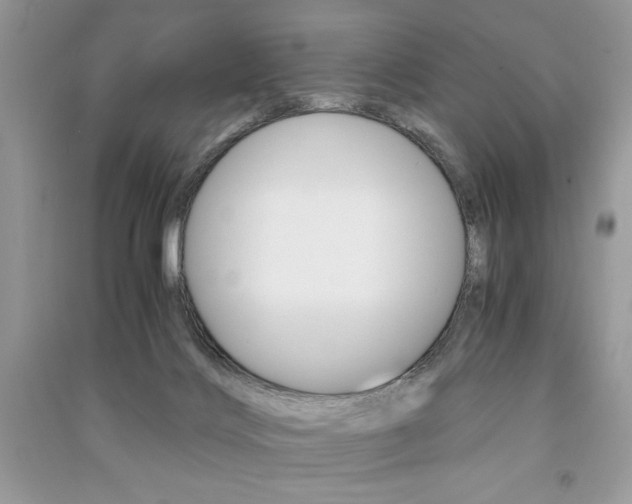 X0000091180028200708091056
