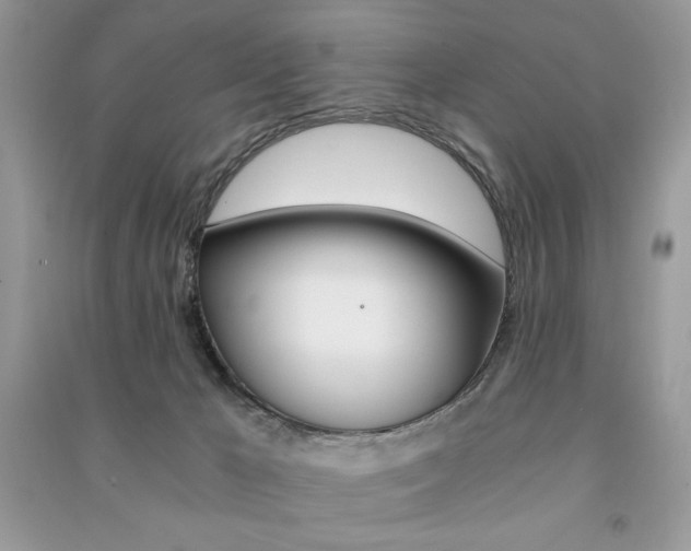 X0000091180029200708091056