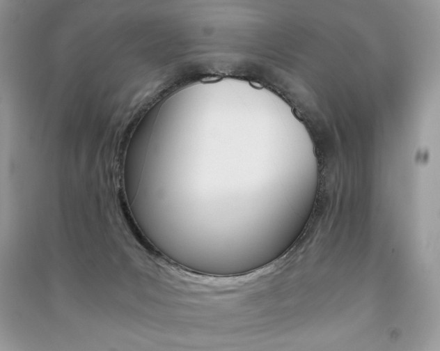 X0000091180031200708091056