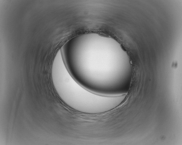 X0000091180033200708091056