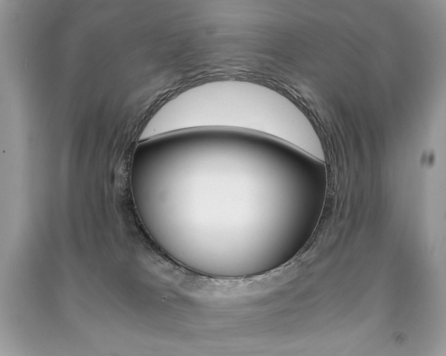 X0000091180037200708091056
