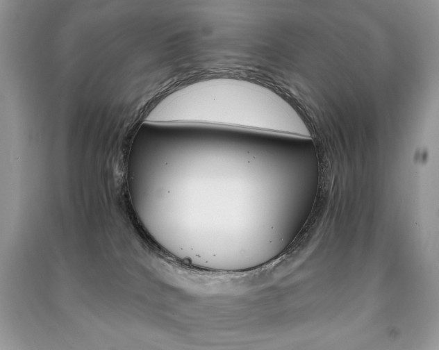 X0000091180040200708091056