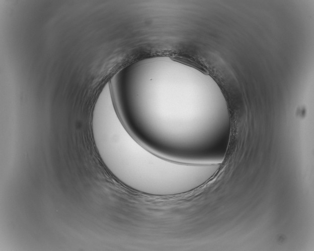 X0000091180041200708091056