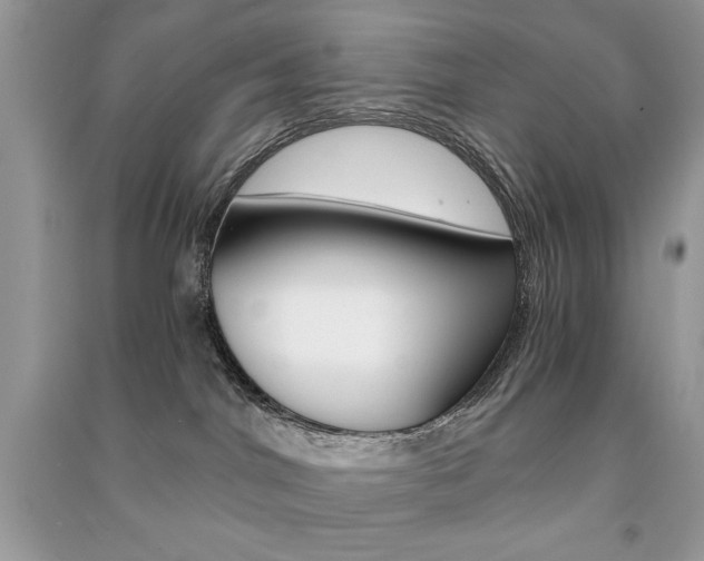 X0000091180044200708091055