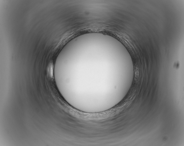 X0000091180046200708091055