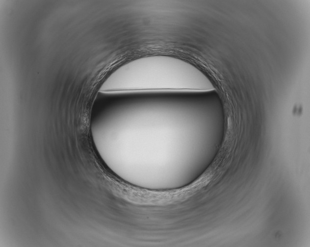 X0000091180048200708091055
