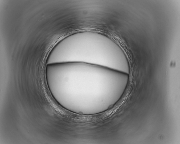 X0000091180049200708091055