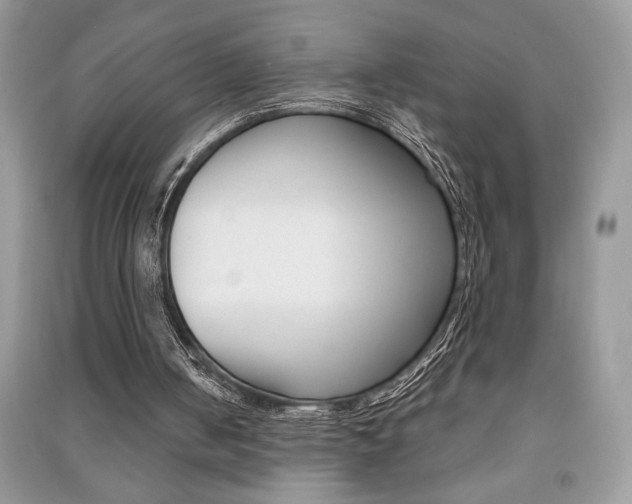 X0000091180050200708091055