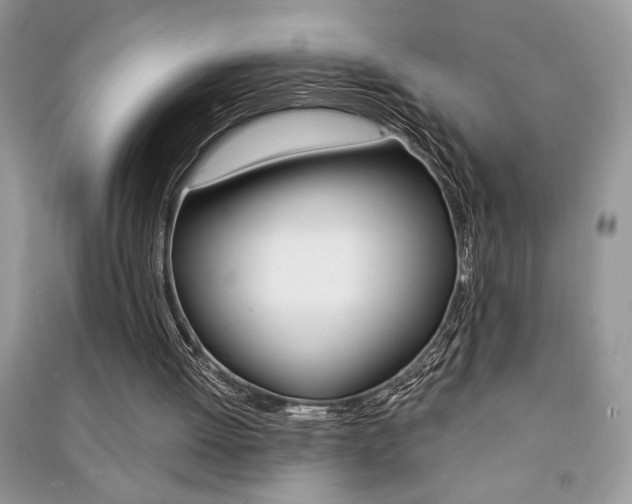 X0000091180052200708091055