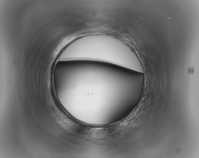 X0000091180054200708091055