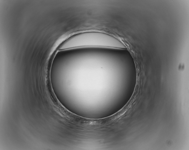 X0000091180056200708091055