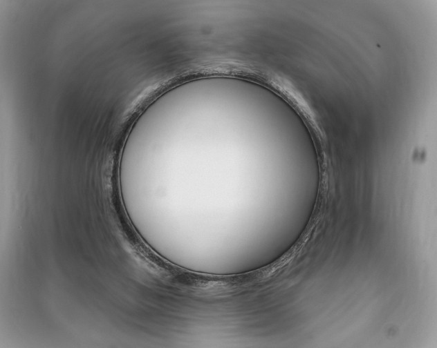 X0000091180058200708091055