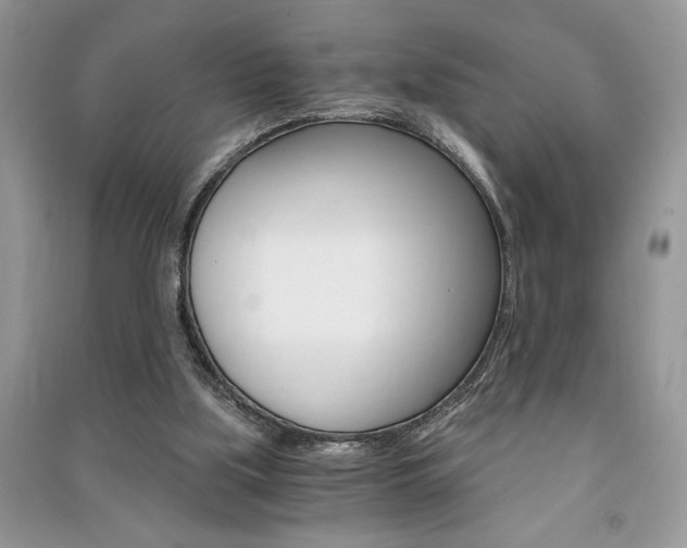 X0000091180059200708091055