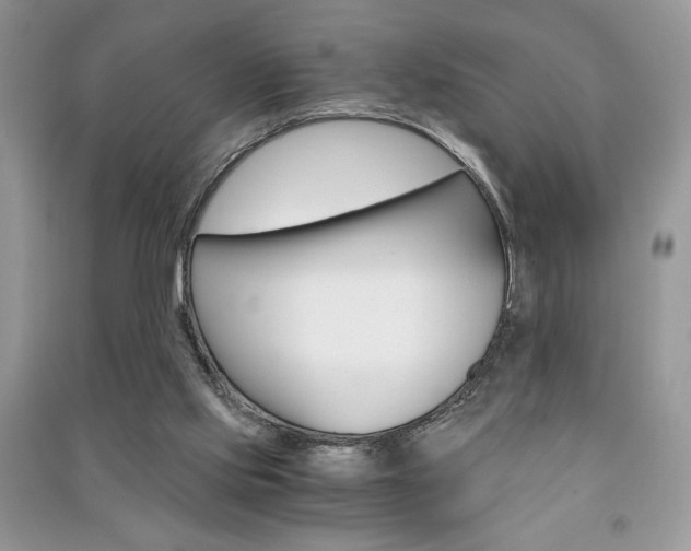 X0000091180061200708091055