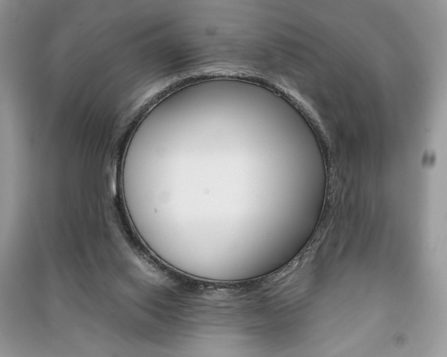 X0000091180062200708091055