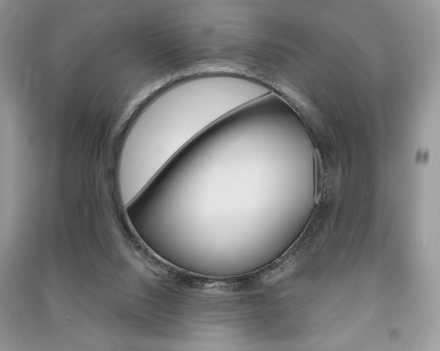 X0000091180064200708091055