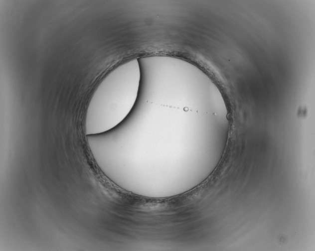 X0000091180065200708091055