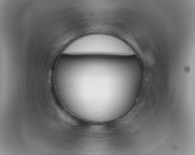 X0000091180066200708091055