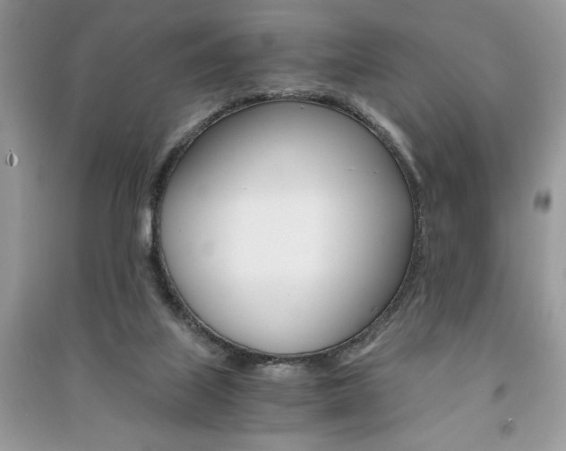X0000091180067200708091055