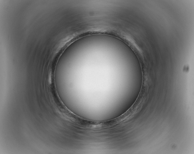 X0000091180068200708091055
