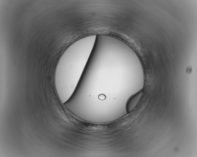 X0000091180069200708091055