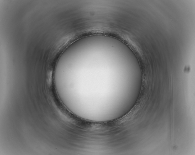 X0000091180070200708091055