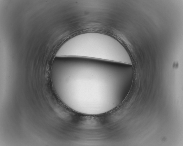X0000091180073200708091055
