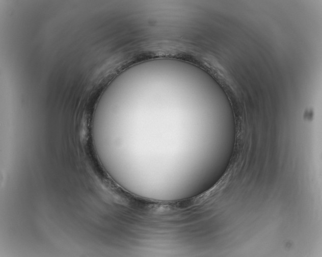 X0000091180074200708091055
