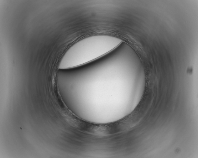 X0000091180075200708091055