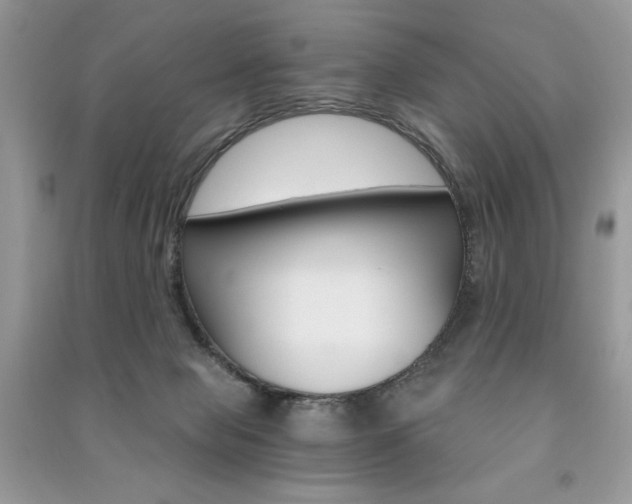 X0000091180077200708091055