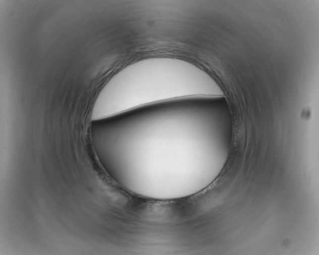 X0000091180078200708091055